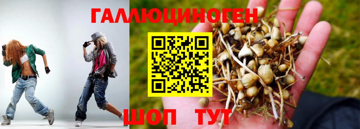 Галлюциногенные грибы мухоморы Губкинский