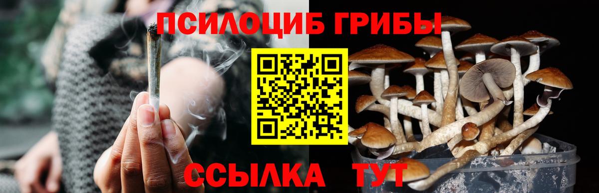 Губкинский  Галлюциногенные грибы Psilocybe  Галлюциногенные грибы мицелий  Вход с VPN 