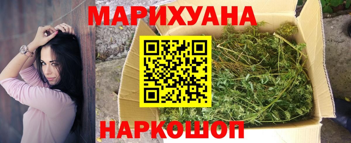 Марихуана семена Губкинский
